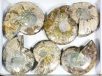 Lot: to Cut Ammonite Pairs (Grade B/C) - Pairs #77332-2